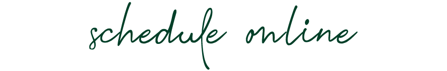 schedule-online_green
